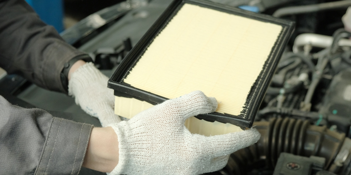 Warranty & Service Support