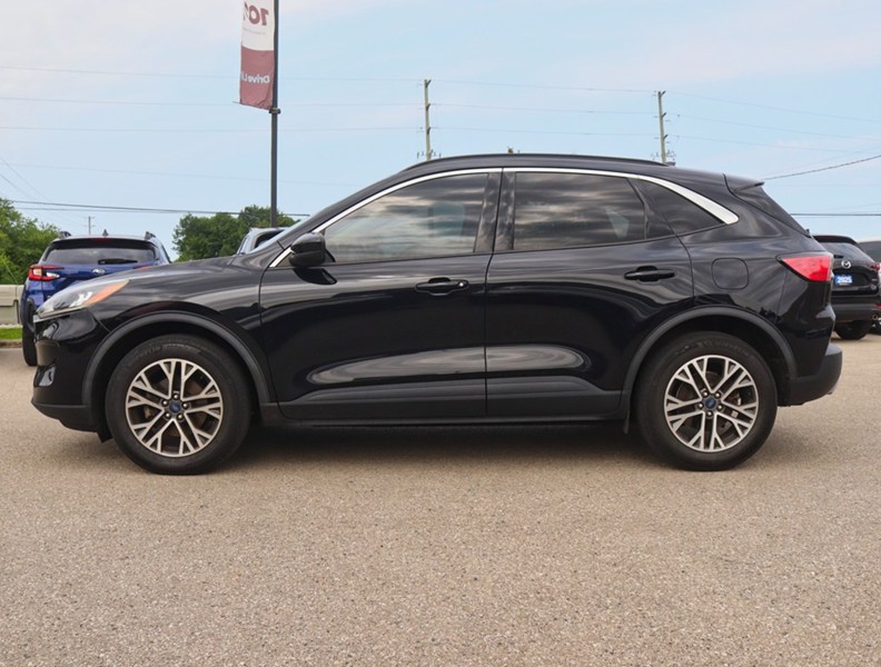 2020 Ford Escape Sel AWD