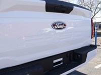 2026 Ford F-150 XLT | 4X4 | 3.5L | 301A | 157 | Blk Pk | Tow/Haul