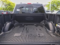 2026 Ford F-150 XLT | 4X4 | 3.5L | 302A | 157 | Blk Pk Pls | Tow/H