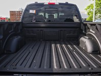 2026 Ford F-150 XLT | 4X4 | 5.0L | 303A | Blk Pk Pls | Roof | Bed