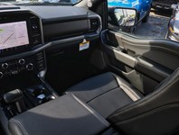 2026 Ford F-150 XLT | 4X4 | 5.0L | 303A |157 | Blk Pk Pls | Fx4