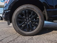 2026 Ford F-150 XLT | 4X4 | 5.0L | 303A | Blk Pk Pls | Roof | Bed