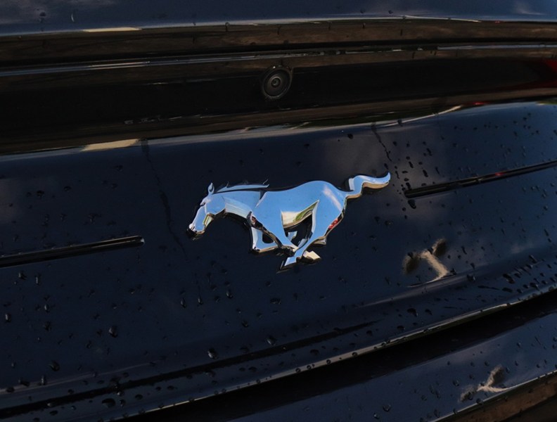2023 Ford Mustang Ecoboost Premium | 2.3L | 201A | Auto | Nav | Leat