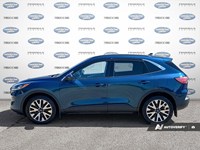 2020 Ford Escape Sel AWD