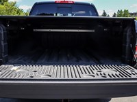 2023 Nissan Frontier Crew Cab Pro-4X Standard Bed 4X4