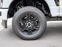 2026 Ford F-250 XL 4WD Reg Cab 8' Box