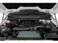 2023 Ford F-150 XLT 4WD Supercrew 5.5' Box Exterior Shot 3
