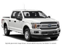 2020 Ford F-150 XLT 4WD Supercrew 5.5' Box Exterior Shot 9