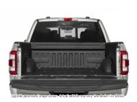 2023 Ford F-150 Platinum 4WD Supercrew 5.5' Box Exterior Shot 4