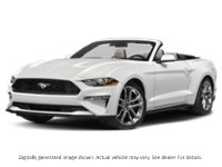 2022 Ford Mustang Ecoboost Convertible Exterior Shot 1