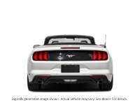 2022 Ford Mustang Ecoboost Convertible Exterior Shot 7