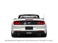 2022 Ford Mustang Ecoboost Convertible Exterior Shot 7
