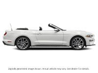 2022 Ford Mustang Ecoboost Convertible Exterior Shot 10