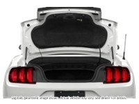 2022 Ford Mustang Ecoboost Convertible Exterior Shot 4