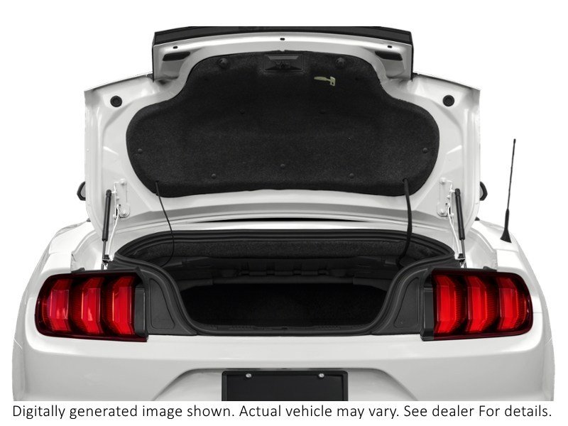 2022 Ford Mustang Ecoboost Convertible Exterior Shot 4