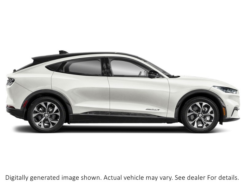 2023 Ford Mustang Mach-E Premium AWD Exterior Shot 10