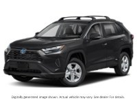 2025 Toyota Rav4 Hybrid Hybrid XLE AWD Exterior Shot 1