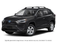 2025 Toyota Rav4 Hybrid Hybrid XLE AWD Exterior Shot 1
