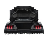 2026 Ford Mustang Ecoboost Fastback Exterior Shot 4