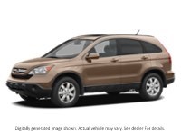 2008 Honda Cr-V LX Borrego Beige Metallic  Shot 4