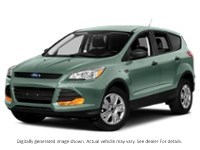 2013 Ford Escape FWD 4Dr SE Frosted Glass Metallic  Shot 28