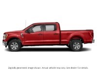 2023 Ford F-150 XLT 4WD Supercrew 5.5' Box Race Red  Shot 55