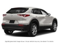 2023 Mazda Cx-30 Gs AWD Platinum Quartz Metallic  Shot 6