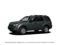 2011 Ford Escape FWD 4Dr I4 Auto XLT Steel Blue Metallic  Shot 5