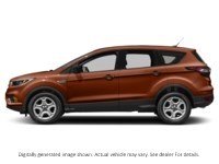 2017 Ford Escape 4WD 4Dr SE Canyon Ridge  Shot 9