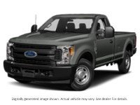 2019 Ford Super Duty F-250 Srw XL 4WD Reg Cab 8' Box Colour Shot 1