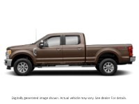 2019 Ford Super Duty F-250 Srw XLT 4WD Crew Cab 6.75' Box Stone Grey  Shot 41