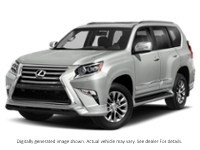 2019 Lexus Gx 460 GX 460 Auto Starfire Pearl  Shot 4