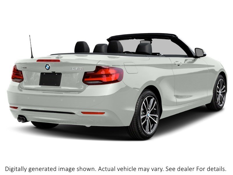 2021 Bmw 230 230I Xdrive Cabriolet Alpine White  Shot 2