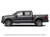 2023 Ford F-150 Platinum 4WD Supercrew 5.5' Box Agate Black Metallic  Shot 5