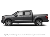 2023 Ford F-150 Platinum 4WD Supercrew 5.5' Box Agate Black Metallic  Shot 3