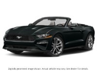 2022 Ford Mustang Ecoboost Convertible Shadow Black  Shot 34