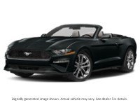 2022 Ford Mustang Ecoboost Convertible Shadow Black  Shot 34
