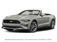 2022 Ford Mustang Ecoboost Convertible Iconic Silver Metallic  Shot 41