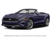 2022 Ford Mustang Ecoboost Convertible Mischievous Purple Metallic  Shot 48