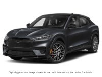 2026 Ford Mustang Mach-E GT Shadow Black  Shot 1