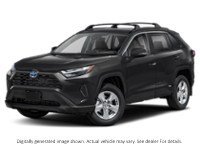 2023 Toyota Rav4 Hybrid Hybrid XLE AWD Colour Shot 1